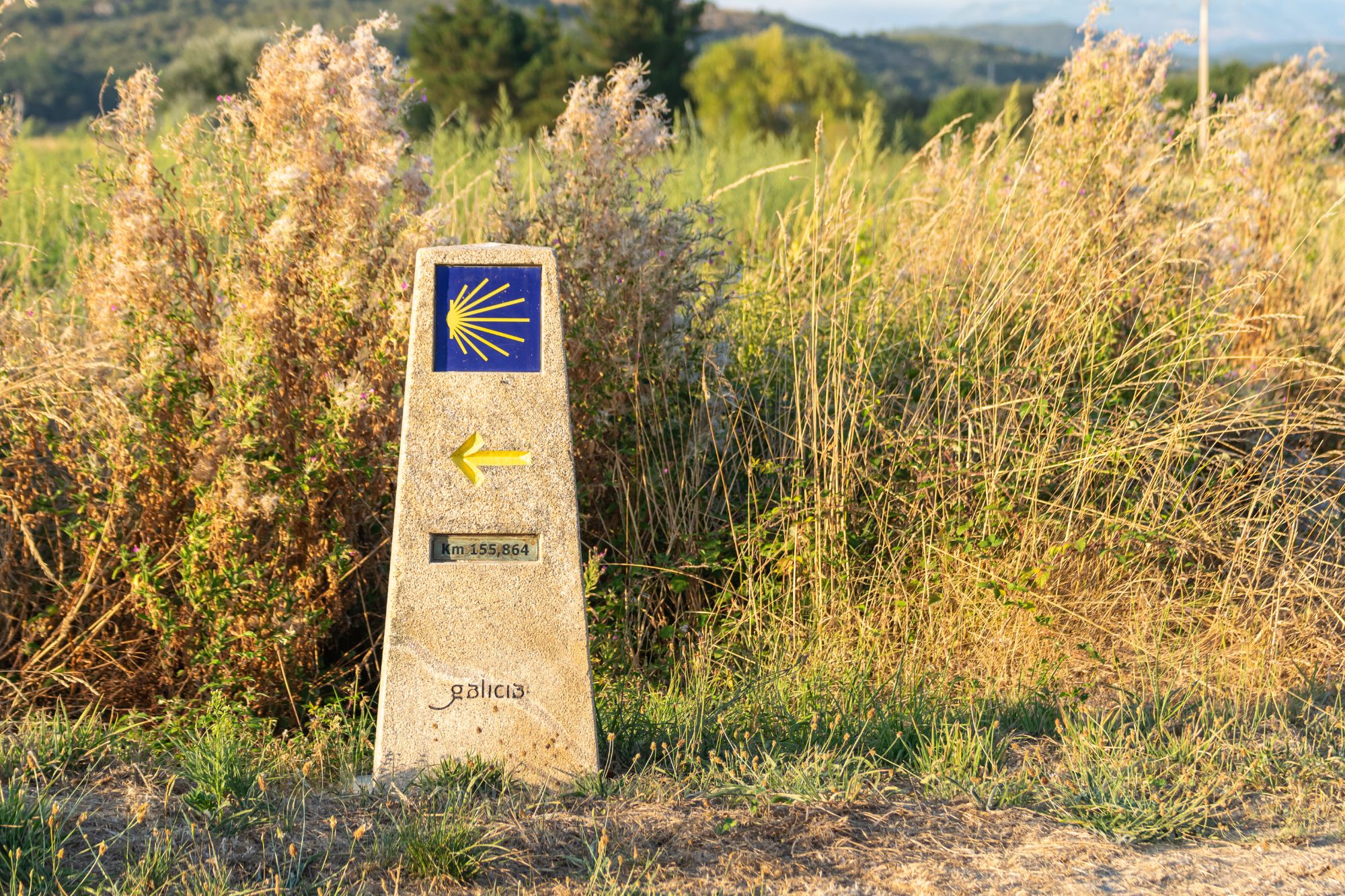 Guía para hacer el Camino de Santiago en autocaravana: Consejos y Ruta completa
