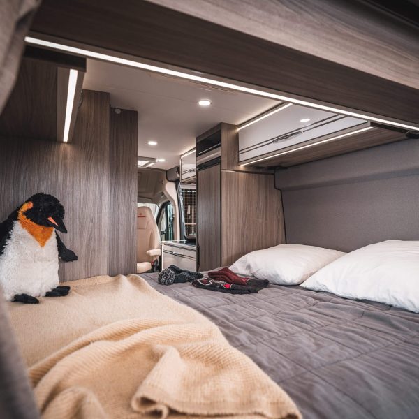 INTERIOR CAMA